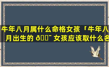 牛年八月属什么命格女孩「牛年八月出生的 🐯 女孩应该取什么名字」